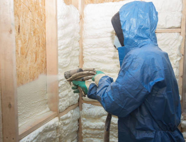 Best Insulation for Metal Buildings  in Moville, IA